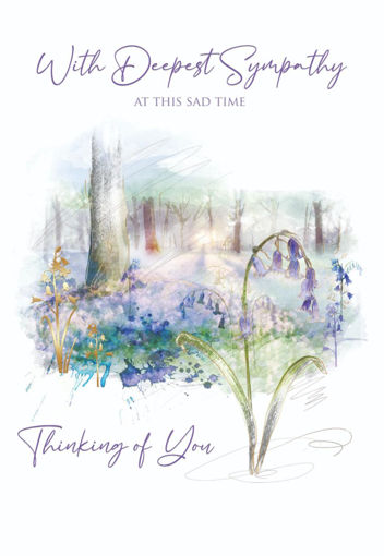 Picture of WITH DEEPEST SYMPATHY AT THIS SAD TIME